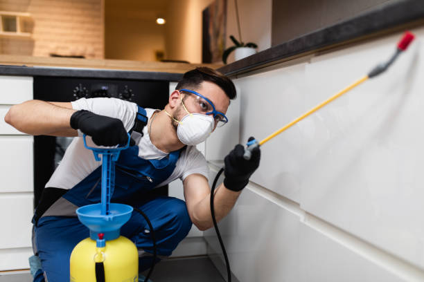 Best Wasp Removal Services  in Oakdale, PA