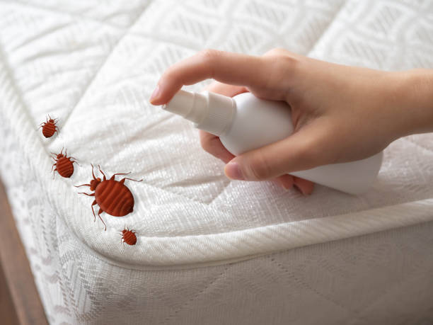 Best Bed Bug Extermination  in Oakdale, PA