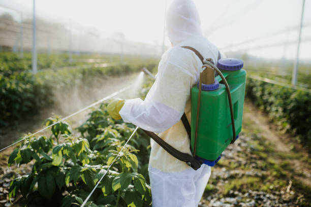 Wasp Removal Services in Oakdale, PA